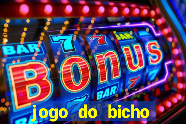 jogo do bicho crash bingo